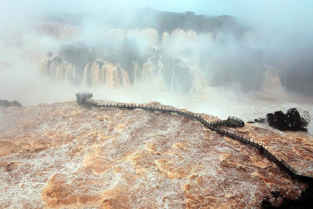 Jane